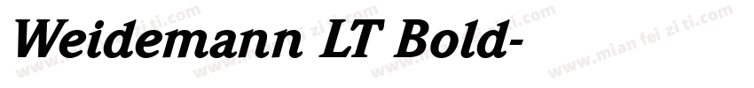Weidemann LT Bold字体转换